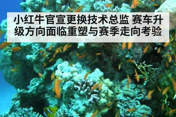 小红牛官宣更换技术总监 赛车升级方向面临重塑与赛季走向考验