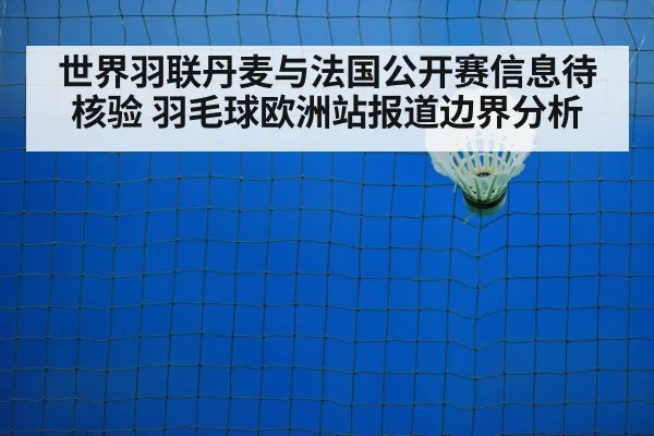badminton shuttlecock on court